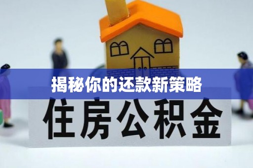 九寨沟揭秘你的还款新策略
