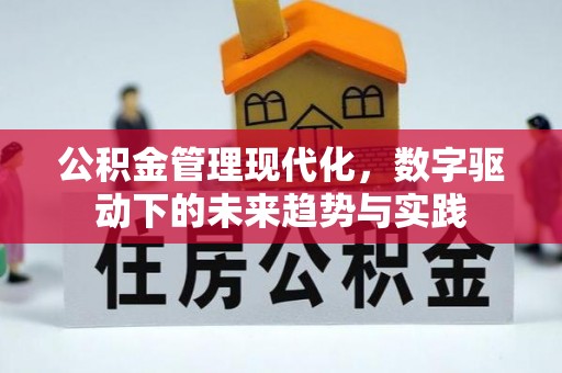 九寨沟公积金管理现代化，数字驱动下的未来趋势与实践