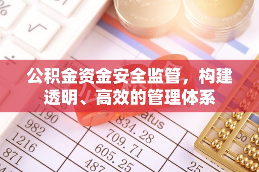 九寨沟公积金资金安全监管，构建透明、高效的管理体系