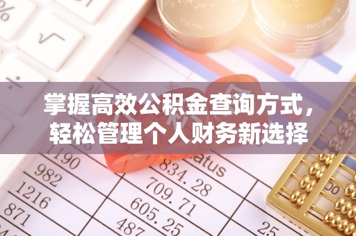 九寨沟掌握高效公积金查询方式，轻松管理个人财务新选择