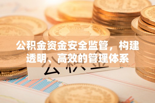 九寨沟公积金资金安全监管，构建透明、高效的管理体系