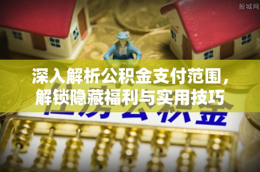 九寨沟深入解析公积金支付范围，解锁隐藏福利与实用技巧