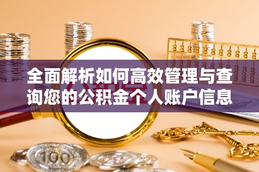 九寨沟全面解析如何高效管理与查询您的公积金个人账户信息