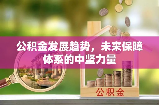 九寨沟公积金发展趋势，未来保障体系的中坚力量