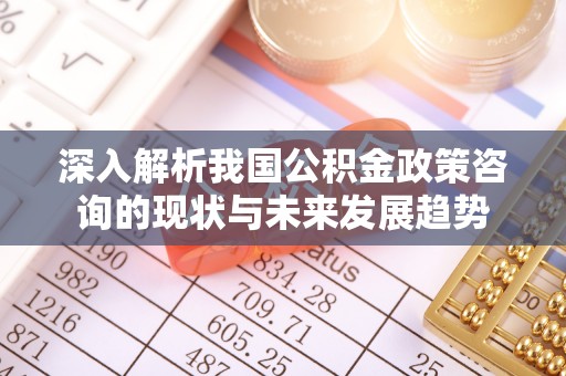 九寨沟深入解析我国公积金政策咨询的现状与未来发展趋势