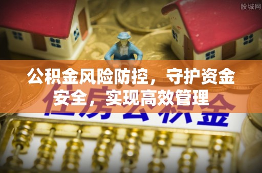 九寨沟公积金风险防控，守护资金安全，实现高效管理