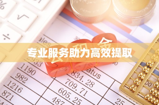 九寨沟专业服务助力高效提取