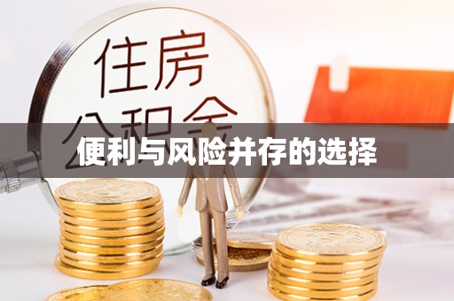 九寨沟便利与风险并存的选择